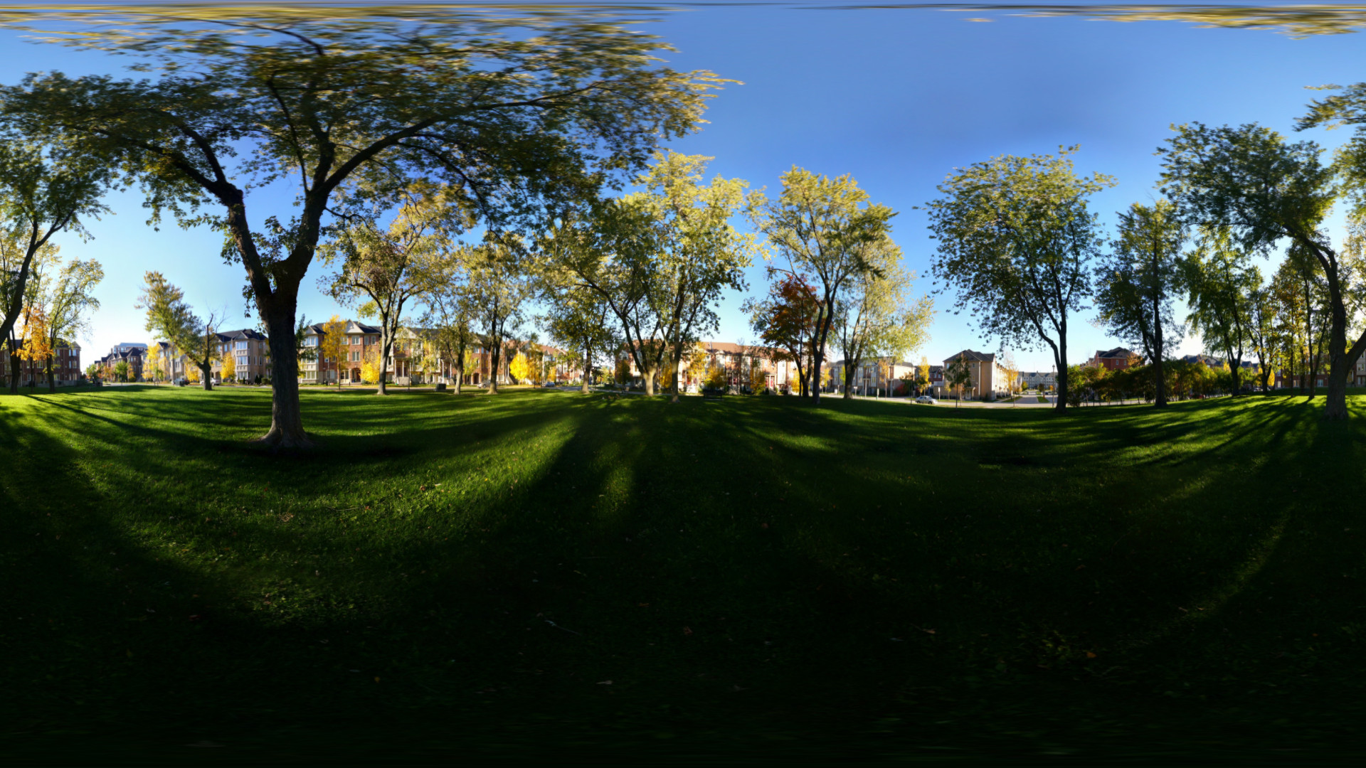 A 360 degree image of an urban park, projected onto a rectangular image.